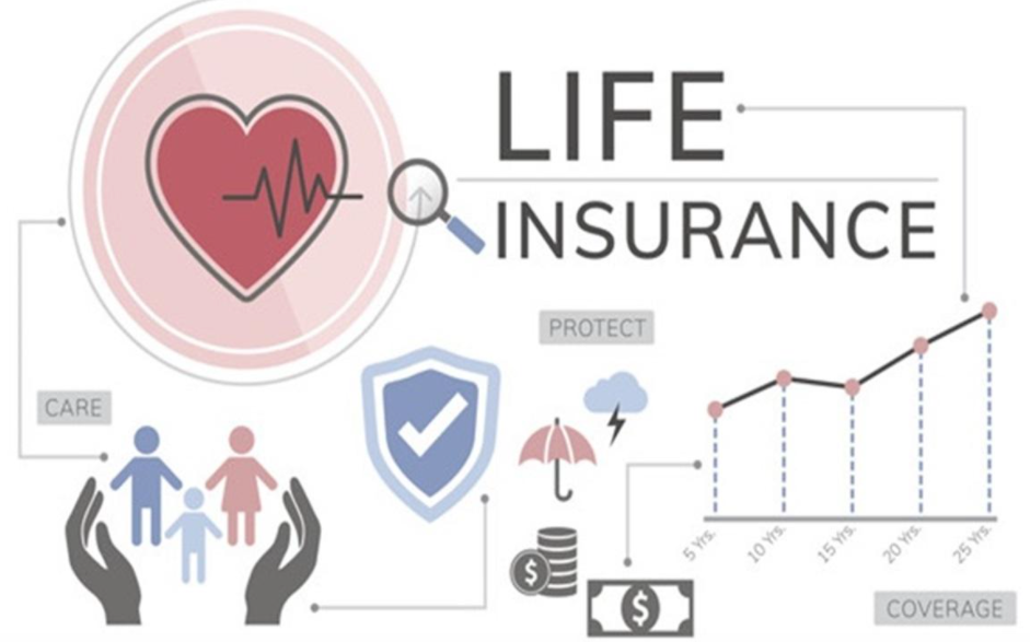 look for in a term life insurance policy