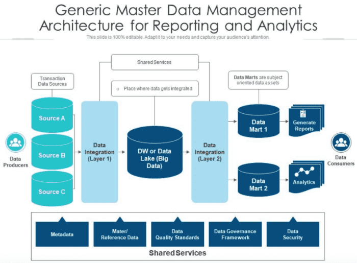 Master Data Management (MDM) Cloud Software – US Scholarship